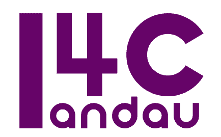 Landau For Consulting