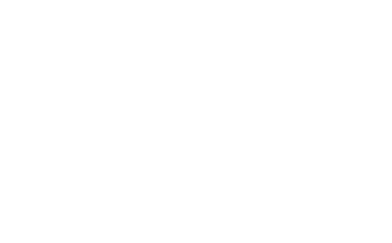 Landau For Consulting